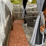 Backyard Transformation