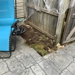 Backyard Transformation
