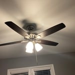 Ceiling Fans Project