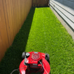Additional Photos
