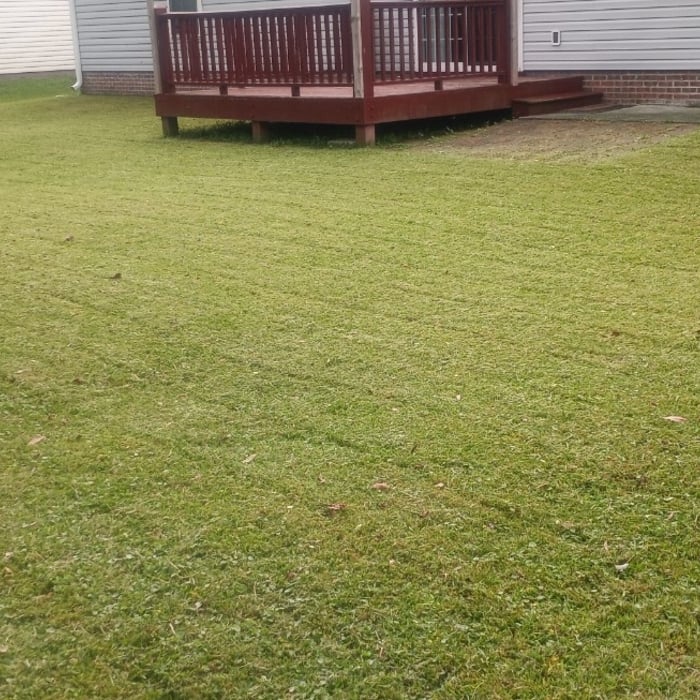 Additional Photos