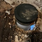 Stub up through rotten floor