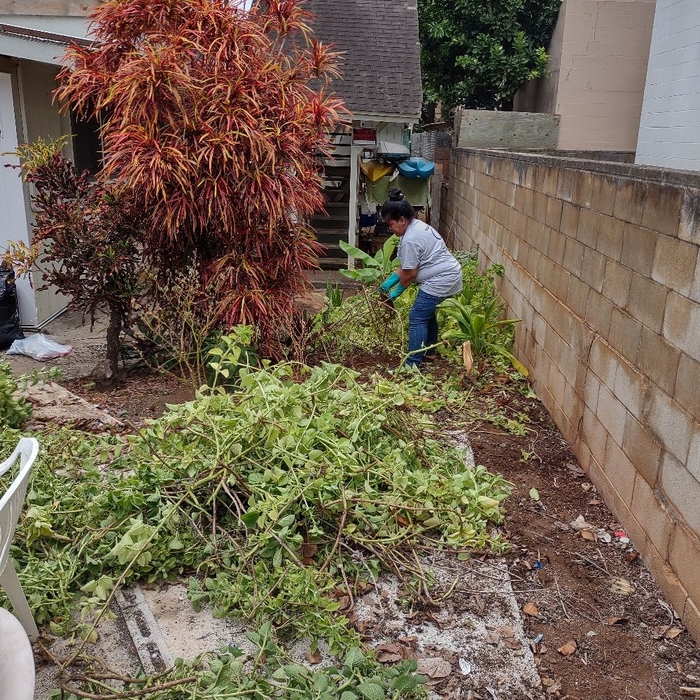 Additional Photos