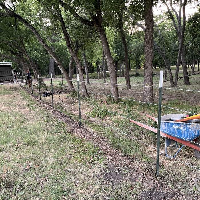 Additional Photos