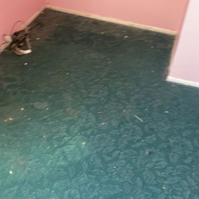 Laminated wood flooring and new baseboards
