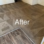 1 Room Deep Carpet + Floor Clean