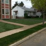 Sod Installation