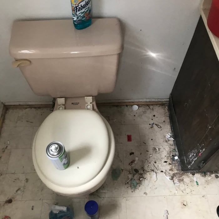 Housecleaning Project
