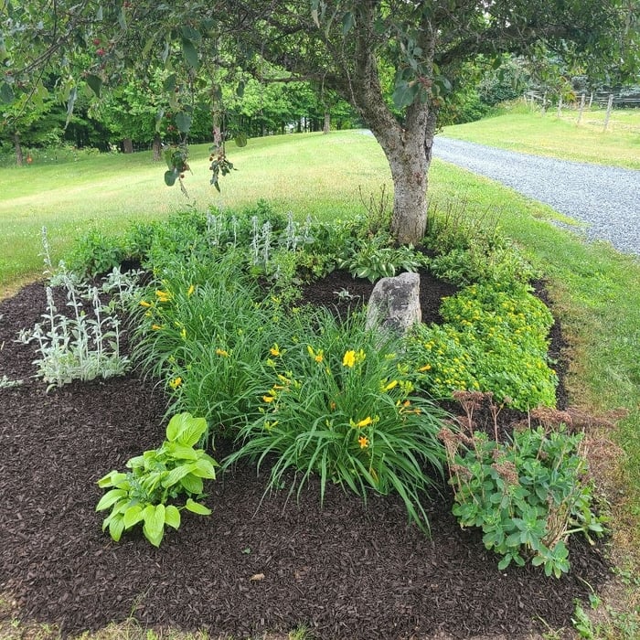Additional Photos
