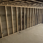 Basement remodel