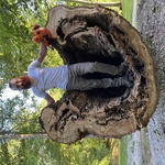 Tree Service Project