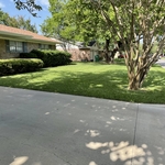 Landscaping Project