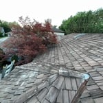 Presidential Re-Roof