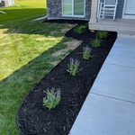 Mulch, and flower bed