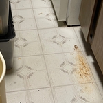 Cleaning the floor mop and kitchen, living room
