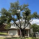Tree Service Project
