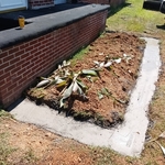 Foundation