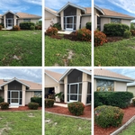 Landscape ( mulch )