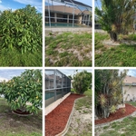 Landscape ( mulch )