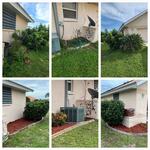 Landscape ( mulch )