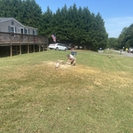 Tree Service Project