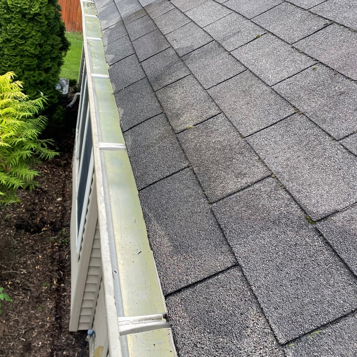 A complete gutter clean of all debris and build up