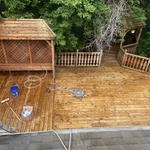 Full deck clean with removal of debris and tree limbs covering the deck