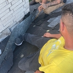 Old shingle tore off, Leak found