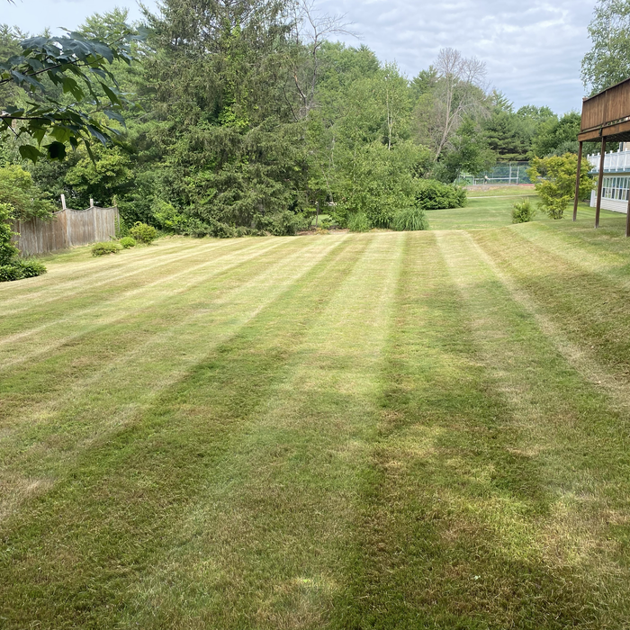 Additional Photos