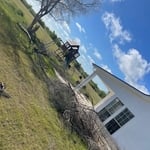 Tree service
