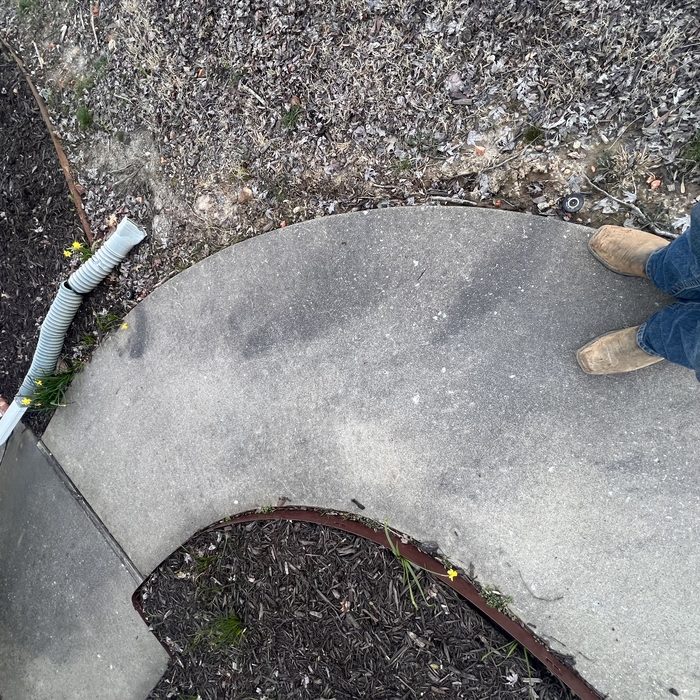 Pressure Washing Project