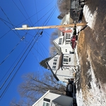 Tree Service Project