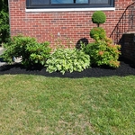 Additional Photos