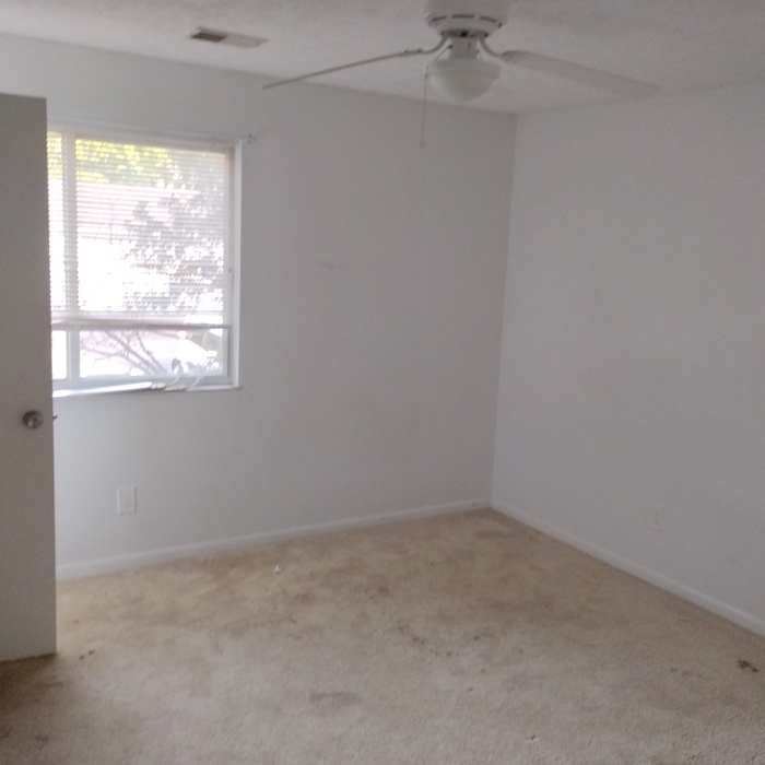 Before carpet removal
