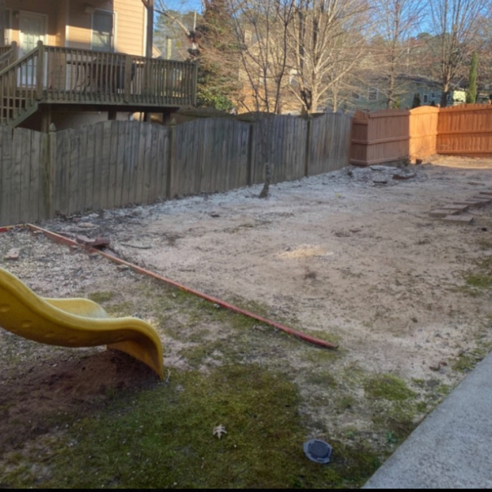 After Tree Removal