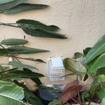 Handyman Services Project