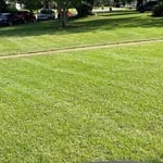 Landscaping Project