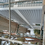 Siding Project