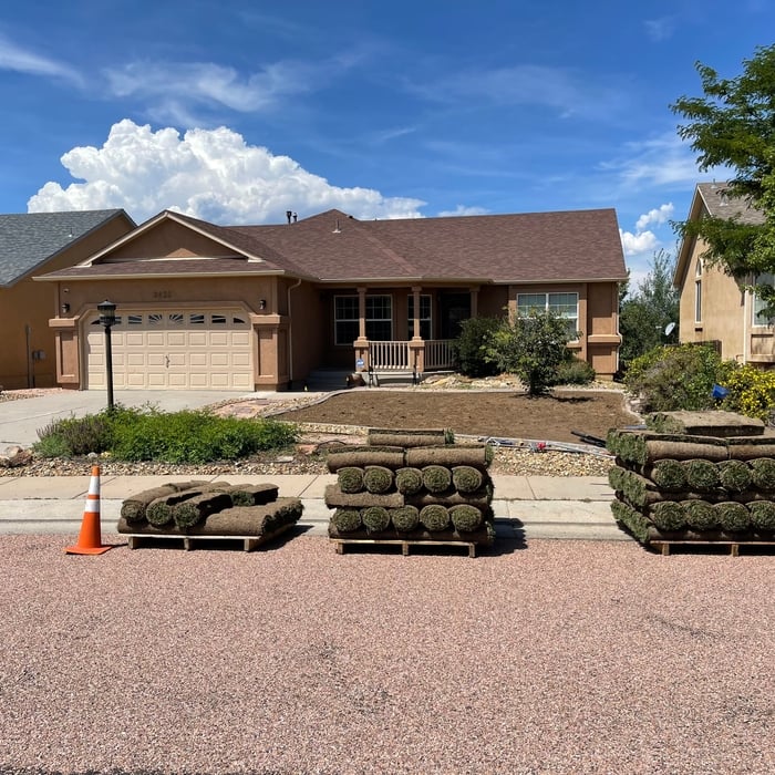 Sod Replacement