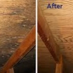 Mold remediation