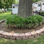 Mulch