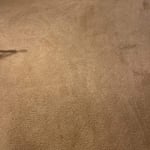 Carpet Cleaning