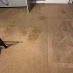 Carpet Cleaning