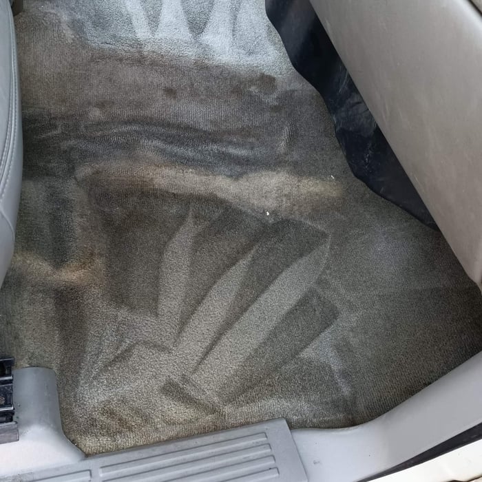 Carpet Cleaning