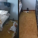 Clearing entire floor