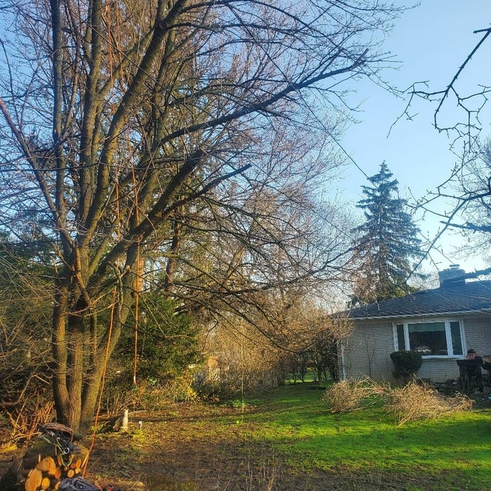 Additional Photos