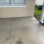 All of the organic matter growing on the gutters was treated