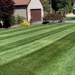 Regular Lawn Maintenance and Cleaning