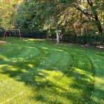 Lawn Maintenance