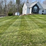 Regular Lawn Maintenance